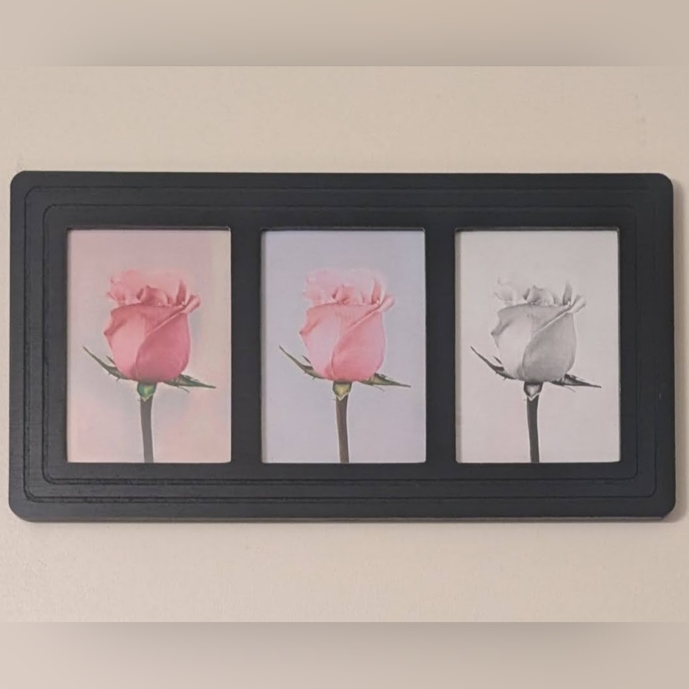 🌹 Beautiful rose wall art! NWT 🌹